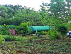 ������ ���� �� '�����' � ����������� ���� 5