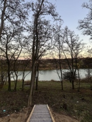 ������ �������� ������� � �������� ���� ���� 1