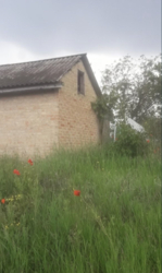 ������ ���� � ����������� ��������� � ������������! ���� 1