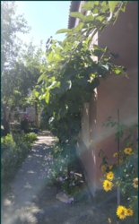 Продам будинок в Кропивницькому на Маслениківці фото 4 Продам будинок в Кропивницькому на Маслениківці фото 4