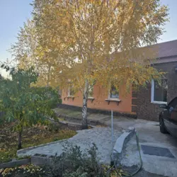 ������ ������� ������� �� ����� ��������� � �������������� ���� 20