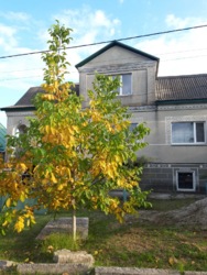 ������ 2 ������� ��� �� ��������� ���� 7