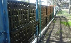 ������ ��� �� ������ ��������� ���� 12