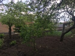 Продам дом на Н. Балашовке в Кропивницком фото 17 Продам дом на Н. Балашовке в Кропивницком фото 17