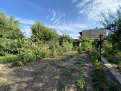 Продам дом на Николаеввке в Кропивницком фото 10 Продам дом на Николаеввке в Кропивницком фото 10