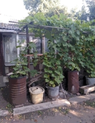 ������ ������ ������� ������� � ������ ����� ��������� ���� 2