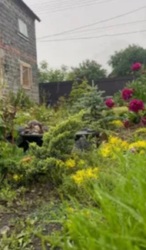 Продам дачу СТ «Будівельник», фото 6 Продам дачу СТ «Будівельник», фото 6