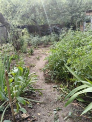 ������ ������� � ������� ������� �� �������� 15 ����� � �.������������� ������������ ���� 13