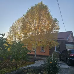 ������ ������� ������� �� ����� ��������� � �������������� ���� 19