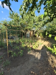 ������ ������� � ������� ������� �� �������� 15 ����� � �.������������� ������������ ���� 11