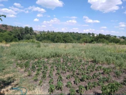 ������ ������� � �������������� �� ó������� ���� 8