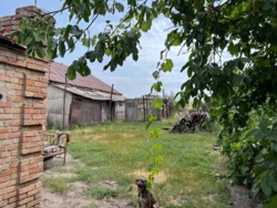 Продам будинок в Грузькому фото 3 Продам будинок в Грузькому фото 3