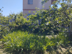 ������ ���� � �� ������ ���� 1