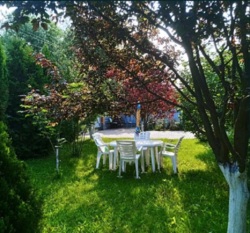 Продам будиное в Созонівці (Опитне поле) фото 15 Продам будиное в Созонівці (Опитне поле) фото 15