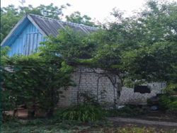 ������ ���� �� '�����' � ����������� ���� 3