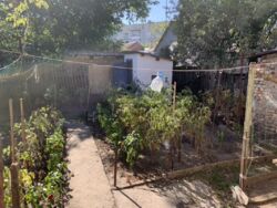 ������ ��� ���� �� ���������� � ������������ ���� 16