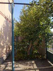 ������ ���� � �� ������ ���� 4