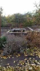 Продам дачу в ДК Писецких в Кропивницком фото 5 Продам дачу в ДК Писецких в Кропивницком фото 5