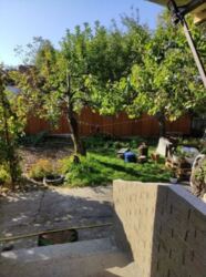 ������ ��� �� ������� ����� � ������������ ���� 13