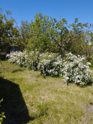 ������ ���� � �� ������ ���� 17