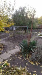 Продам дачу в ДК Писецких в Кропивницком фото 4 Продам дачу в ДК Писецких в Кропивницком фото 4