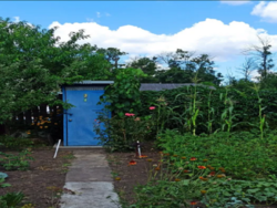 ������ ���� �� '�����' � ����������� ���� 4