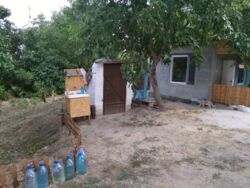 ������ ��� �� ������ ��������� ���� 3