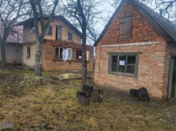 Продам дачу у кооперативі 'Дружба' фото 1 Продам дачу у кооперативі 'Дружба' фото 1