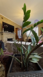 Продам будинок на Новій Балашівці в Кропивницькому фото 20 Продам будинок на Новій Балашівці в Кропивницькому фото 20