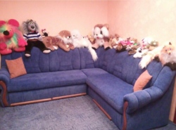 ������ �������� ������� � �������������� �� ������� ���� 1