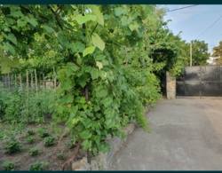 Продам будинок в Кропивницькому с. Вільне фото 14 Продам будинок в Кропивницькому с. Вільне фото 14