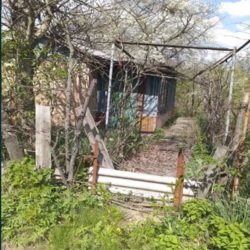 ������ ���� � ���������� '����������' ���� 4