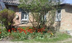 ������ ��� �� ������ ��������� ���� 1