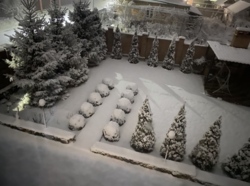 ������ ������� � �������������� �� ����������� ���� 17