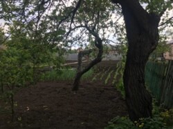 Продам дом на Н. Балашовке в Кропивницком фото 15 Продам дом на Н. Балашовке в Кропивницком фото 15