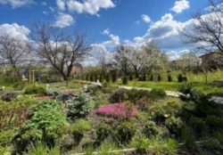 Продам дачу СТ «Будівельник», фото 3 Продам дачу СТ «Будівельник», фото 3