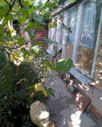 ������ ������ ������� ������� � ������ ����� ��������� ���� 3