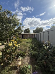 ������ ������� ������� � �������������� �� ������������� ���� 13