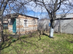 ������ ���� � ���������� '�����������' ���� 1