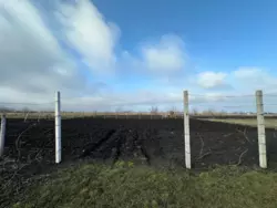 ������ �������/���� � �. ������ ���� 7