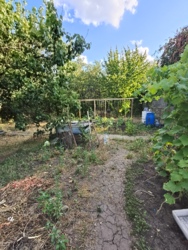 ������ ������� � ������� ������� �� �������� 15 ����� � �.������������� ������������ ���� 12