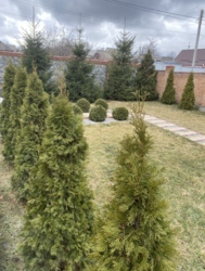 ������ ������� � �������������� �� ����������� ���� 15