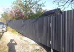 ������ ���� �� ��������� ���� 1