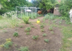 Продам добротные пол дома на Новоалексеевке в Кропивницком фото 3 Продам добротные пол дома на Новоалексеевке в Кропивницком фото 3