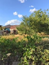 ������ ������� � ������� ������� �� �������� 15 ����� � �.������������� ������������ ���� 7