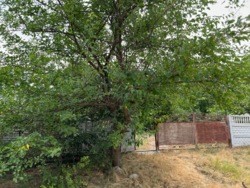 Продам будинок в Грузькому фото 5 Продам будинок в Грузькому фото 5