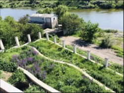 ������ ��� �� ���������� � ������������ ���� 5