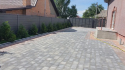 Будинок на кущівці фото 8 Будинок на кущівці фото 8