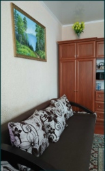 Продам будинок в Кропивницькому на Маслениківці фото 2 Продам будинок в Кропивницькому на Маслениківці фото 2