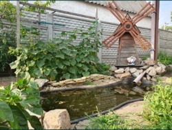 Продам будинок в Кропивницькому с. Вільне фото 18 Продам будинок в Кропивницькому с. Вільне фото 18